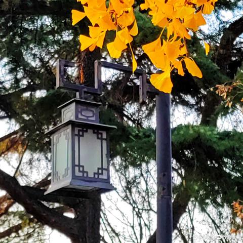 济南英雄山属于哪个区？