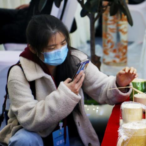 合肥苗木市场在那里相关长尾关键词有哪些