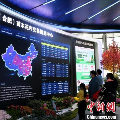 安徽合肥公共资源交易中心网相关长尾关键词有哪些