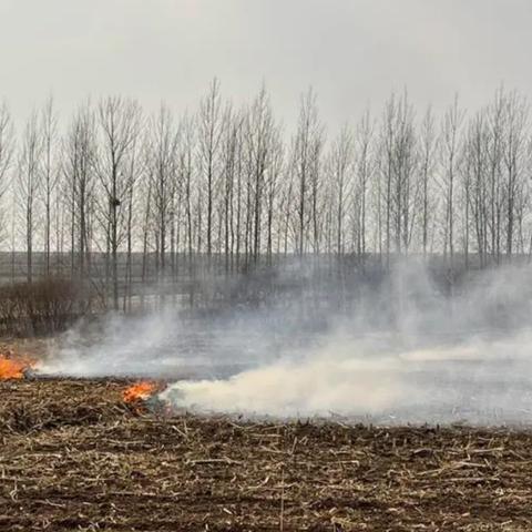 哈尔滨秸秆发酵工厂相关长尾关键词有哪些