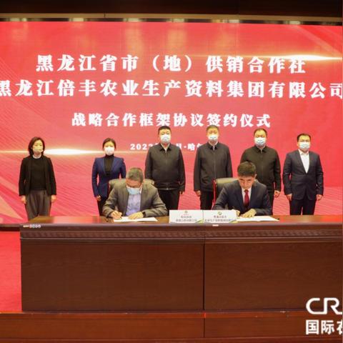 倍丰玉米掺混肥怎么样？