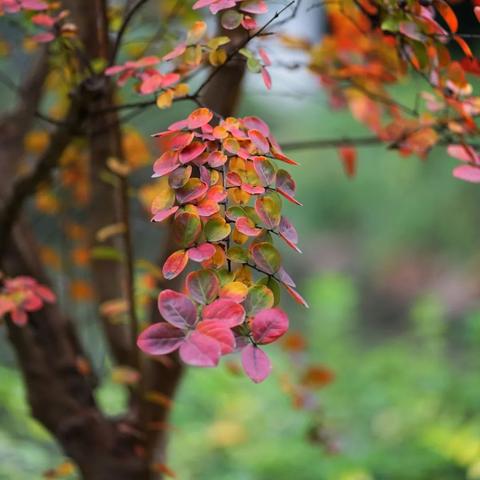 无锡市哪里可以下雪