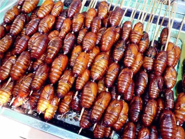 另类美食都可以做什么美食（在头条上的自媒体是怎么做出来的）
