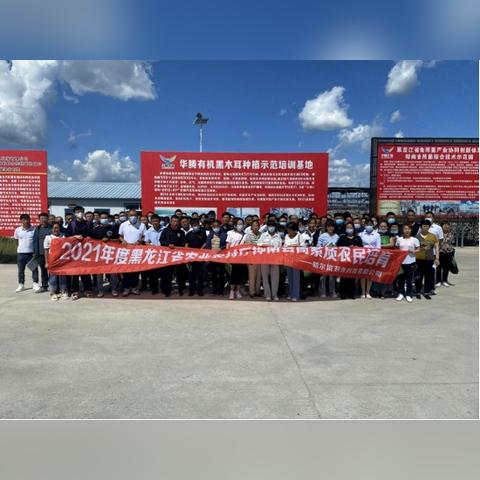 哈尔滨乱办班补课相关长尾关键词有哪些