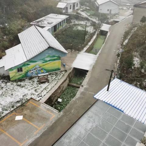 长沙市什么时候下雪的啊