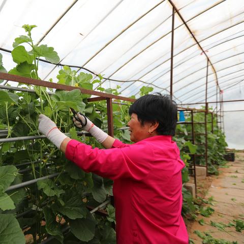 河南最深水井的相关长尾关键词有哪些