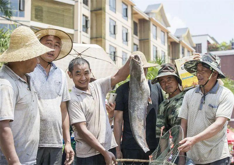 原神鱼怎么那么少（4月17号是什么节日）