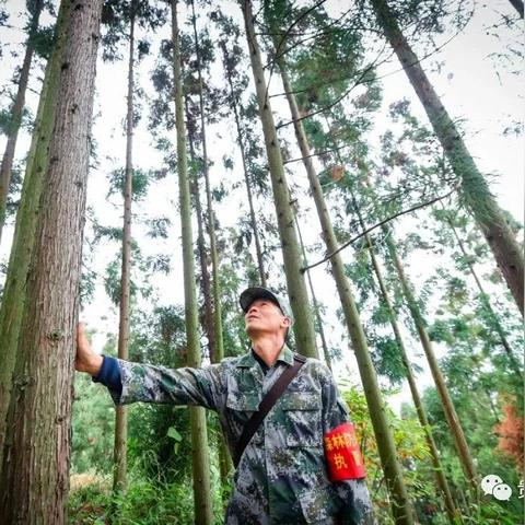 杭州东站巡山令的相关长尾关键词有哪些