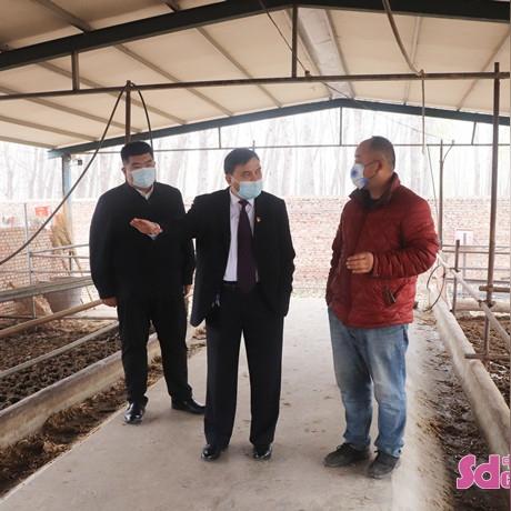 山东菏泽市附近的饲料厂的长尾关键词有什么