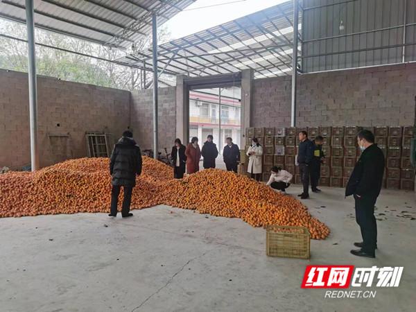 柑橘栽培技术员岗位职责（有没有些新小说有自己的独特思路）