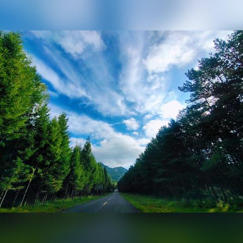 长春市天岗石材哪里好