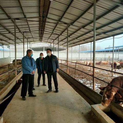 临沂市金泉饲料的长尾关键词有什么