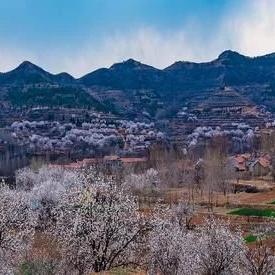 临沂市作协会员名单的长尾关键词有什么