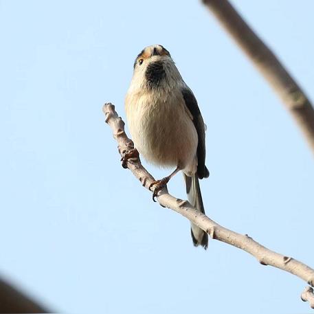 广州南假期相关长尾关键词有哪些