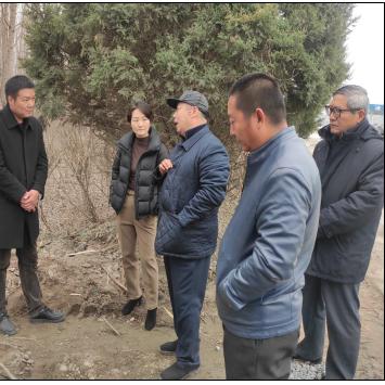 天津中德在天津哪个区域