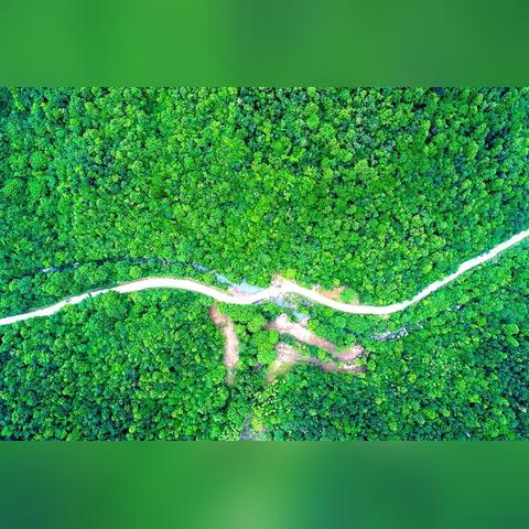 随州往河南方向是什么县