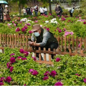 菏泽市占地多少亩面积