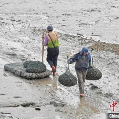 赶海抓海鲜福建泉州的相关长尾关键词有哪些
