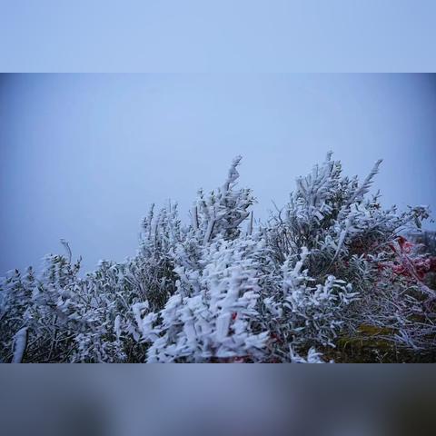 南宁市过去的天气怎么样