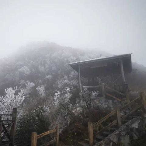 南宁元旦停车的相关长尾关键词有哪些