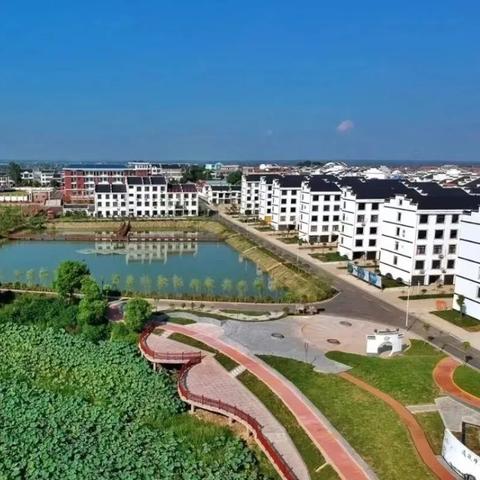 武汉市捡蘑菇的地方叫什么