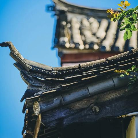 合肥市姑娘巷是哪个区
