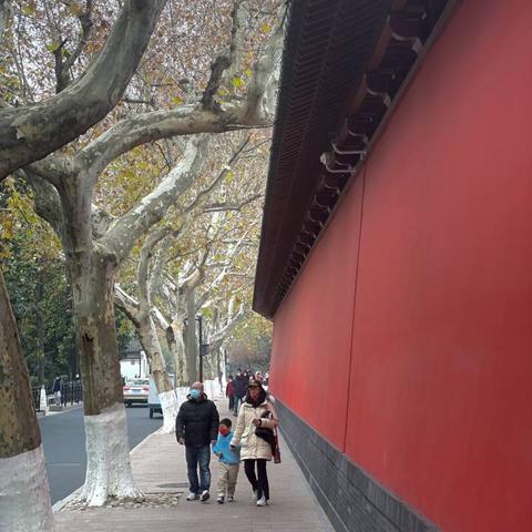 杭州市望江路是什么区