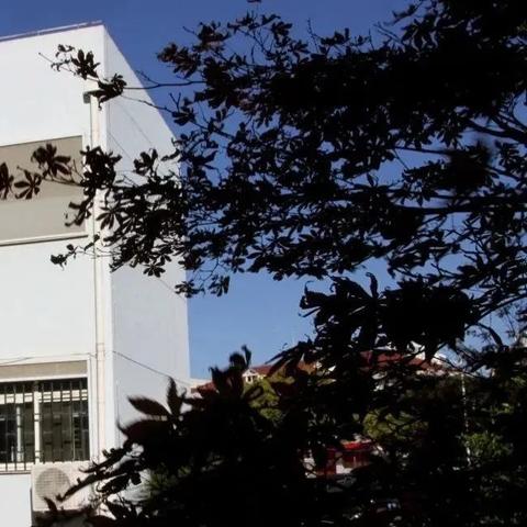 盘点美国大学在上海的分校相关关键词有哪些