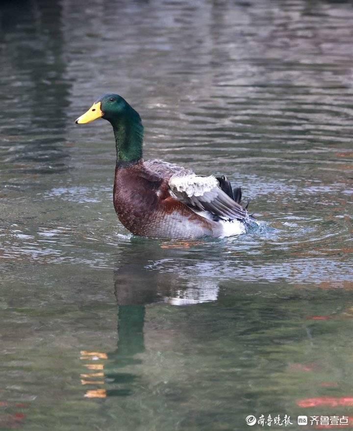 下载好看点有哪些什么让女生变美的小技巧