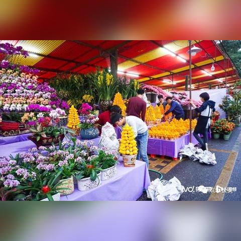 东莞市的花街有哪些名字