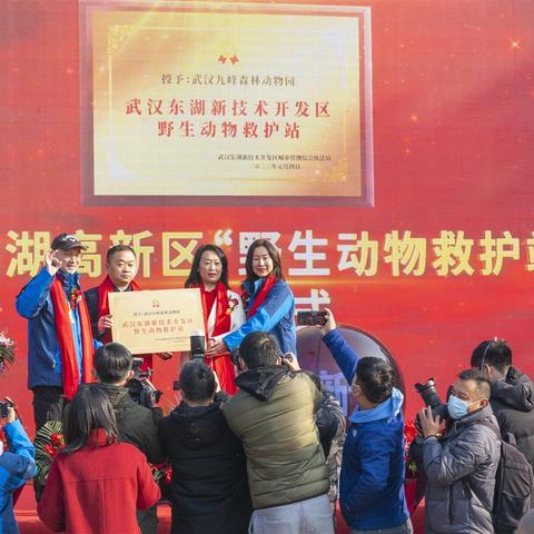 武汉市九峰街道哪个街