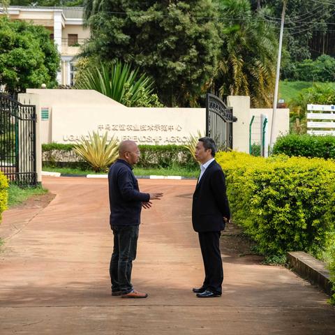 什么是南南合作