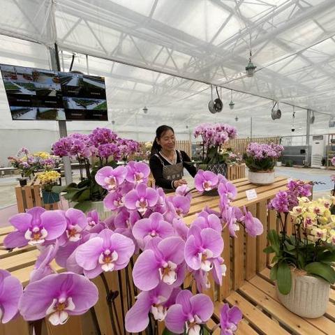 在杭州市工作怎么样？