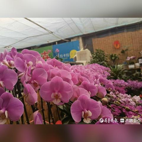 济南市民市场买菜怎么样