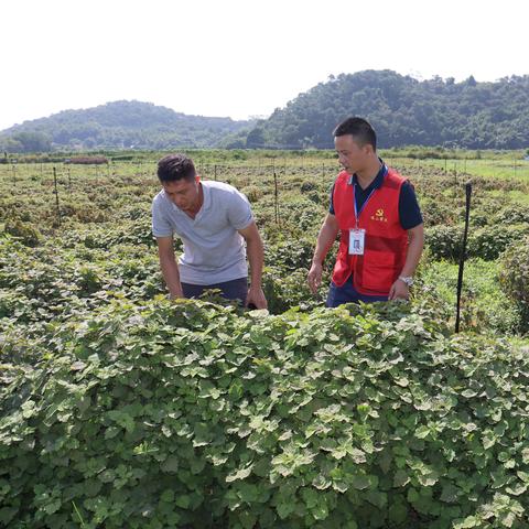 2024广东省佛山市医院待遇的长尾关键词有什么