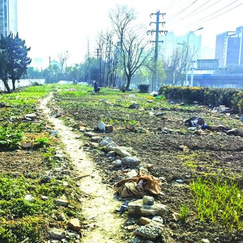 合肥银领时代物业电话相关长尾关键词有哪些