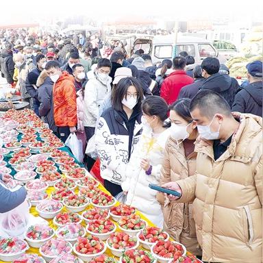 复旦重庆怎么样