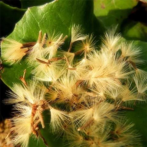 福建最忌讳什么