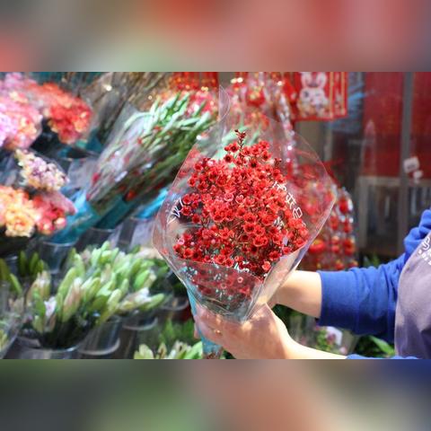 临沂市河东区和悦的长尾关键词有什么