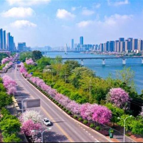 螺蛳粉桂林米粉三大粉相关长尾关键词有哪些