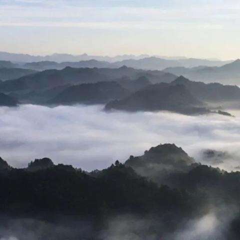 温州市张溪村在哪里