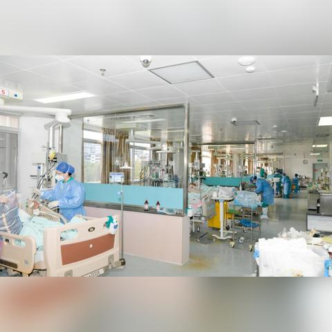 植物大战僵尸原版电脑版（植物大战僵尸原版电脑版，经典重现，策略至上）