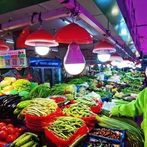【沈阳今日蔬菜价格】2025年3月26日沈阳蔬菜价格是多少