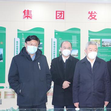 临沂市健康校园名单的长尾关键词有哪些