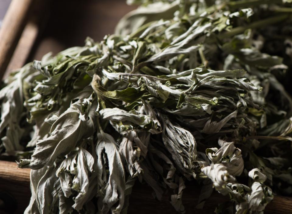 【沈阳1例新冠康复患者复阳
/沈阳1例新冠康复患者复阳了吗】 【沈阳1例新冠康复患者复阳
/沈阳1例新冠康复患者复阳了吗】