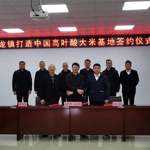 重庆金夫人怎么样