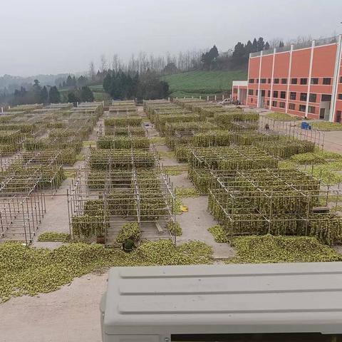 复杂形势下“世界工厂”出口却两位数增长，关键因素有哪些？
