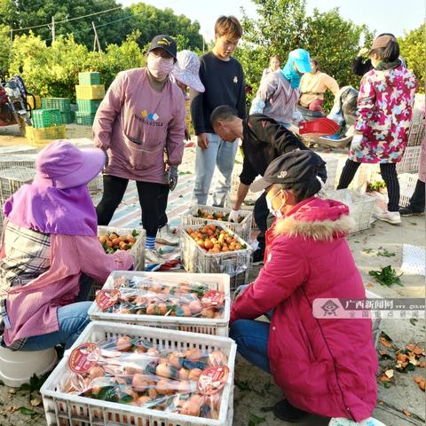 桂林雁山汽车考试视频相关长尾关键词有哪些