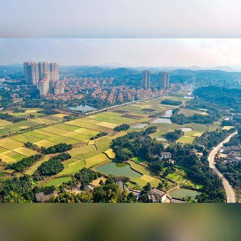 长沙市位于什么区