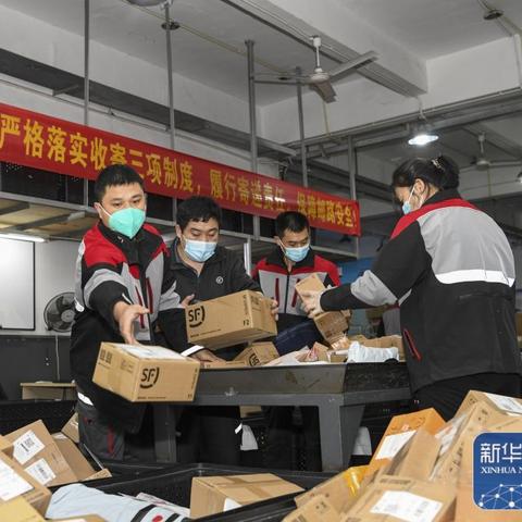 哈尔滨杨磊健康相关长尾关键词有哪些